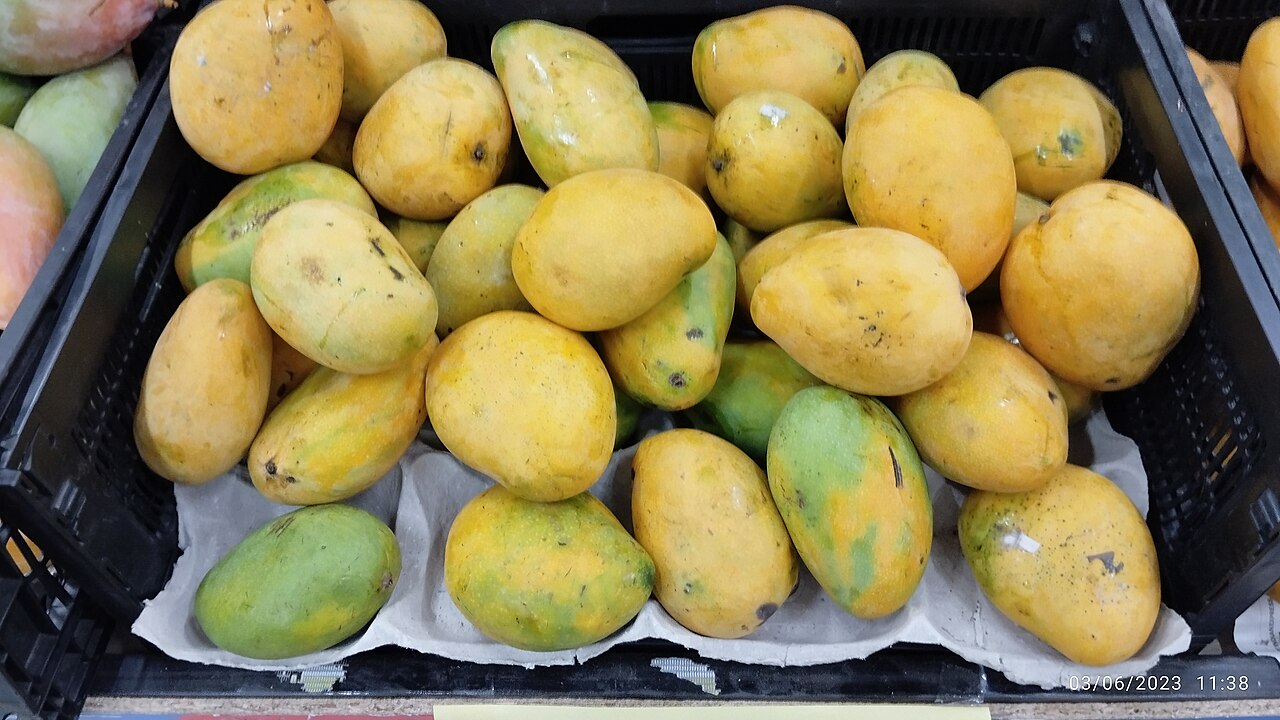 Delhi Mango Festival Returns To Janakpuri From July 3 With Rare Indian Varieties